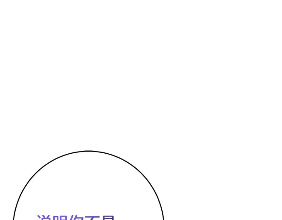 164.jpg