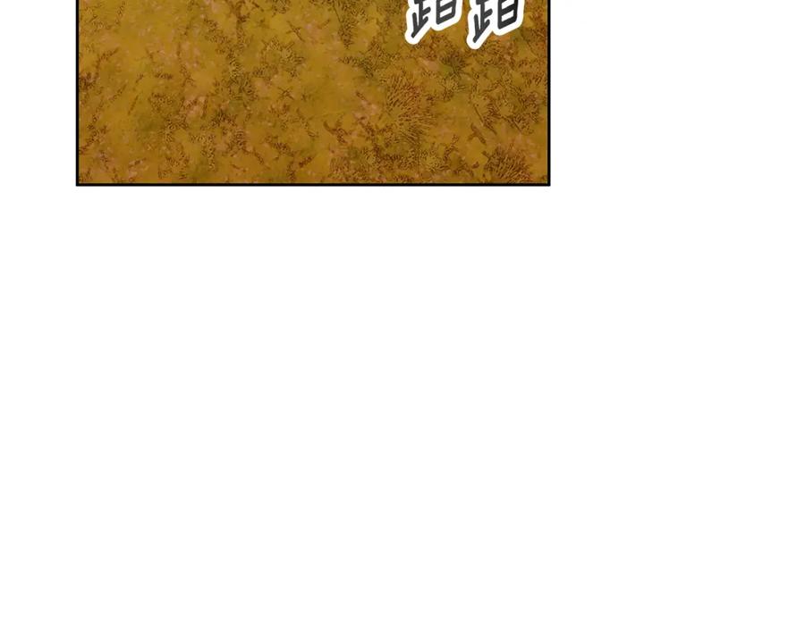 158.jpg