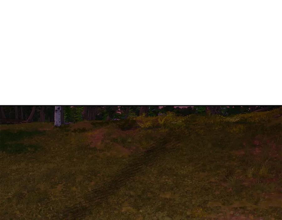 60.jpg