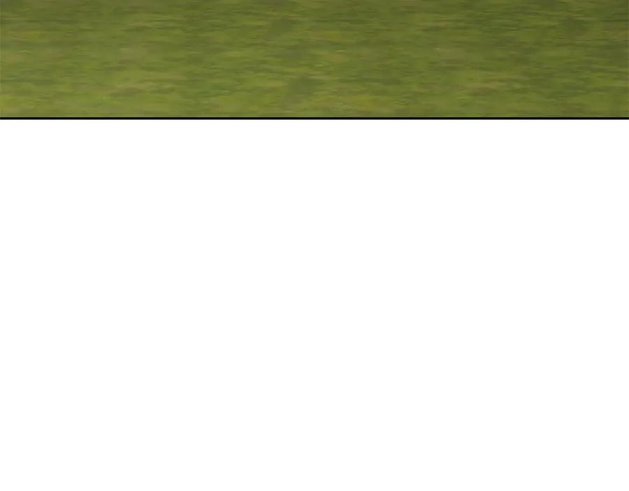 136.jpg