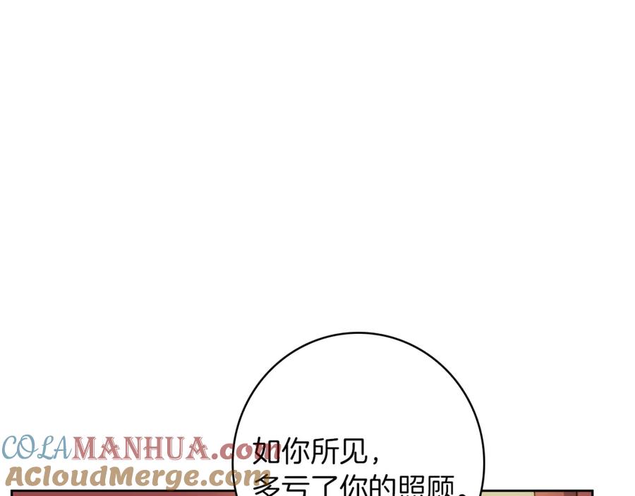 81.jpg