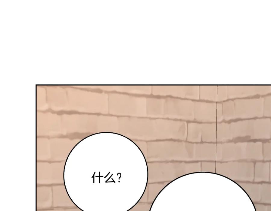 154.jpg