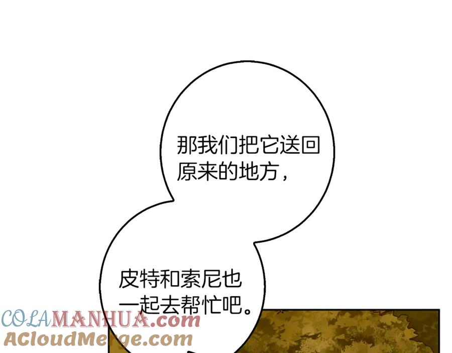 121.jpg