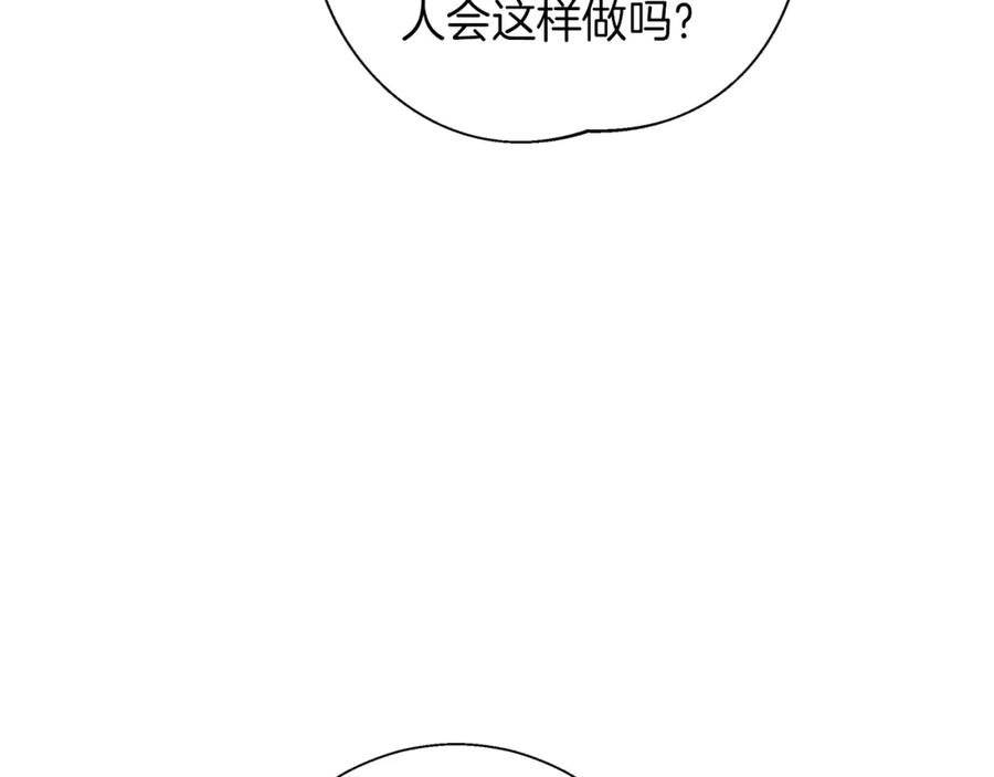 146.jpg