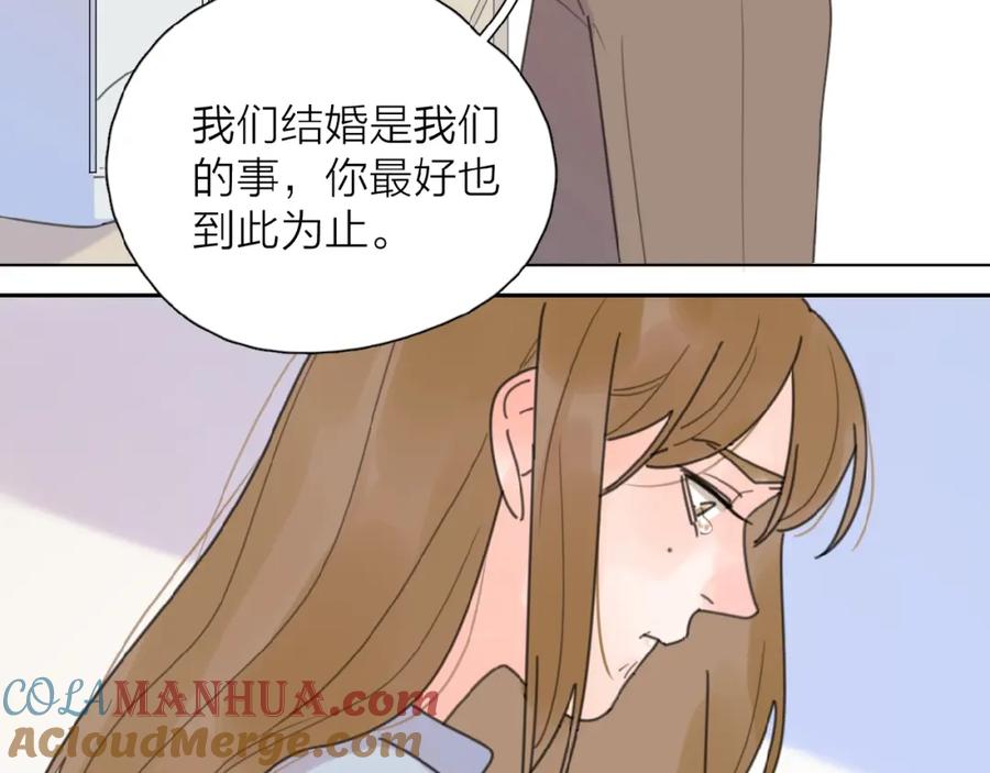 113.jpg