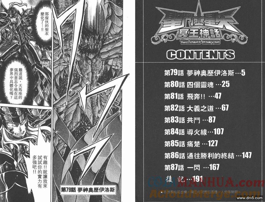 第10卷-圣斗士星矢 冥王神话-手代木史织（第3张）