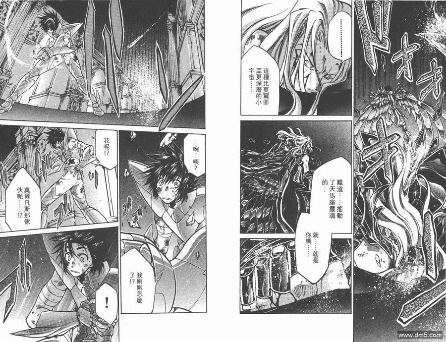 第10卷-圣斗士星矢 冥王神话-手代木史织（第5张）