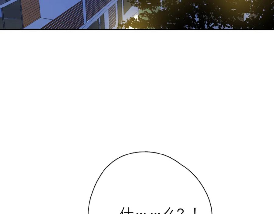 79.jpg