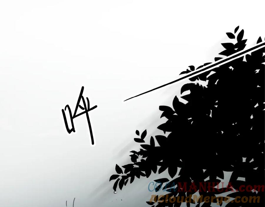 125.jpg