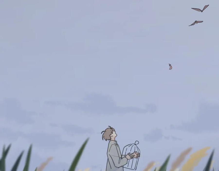 95.jpg