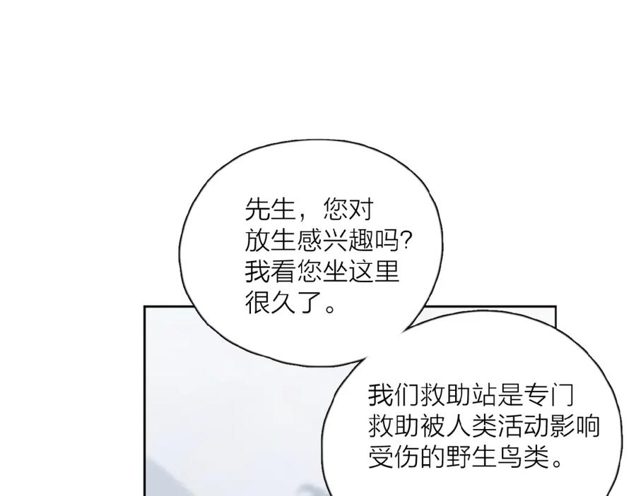 87.jpg