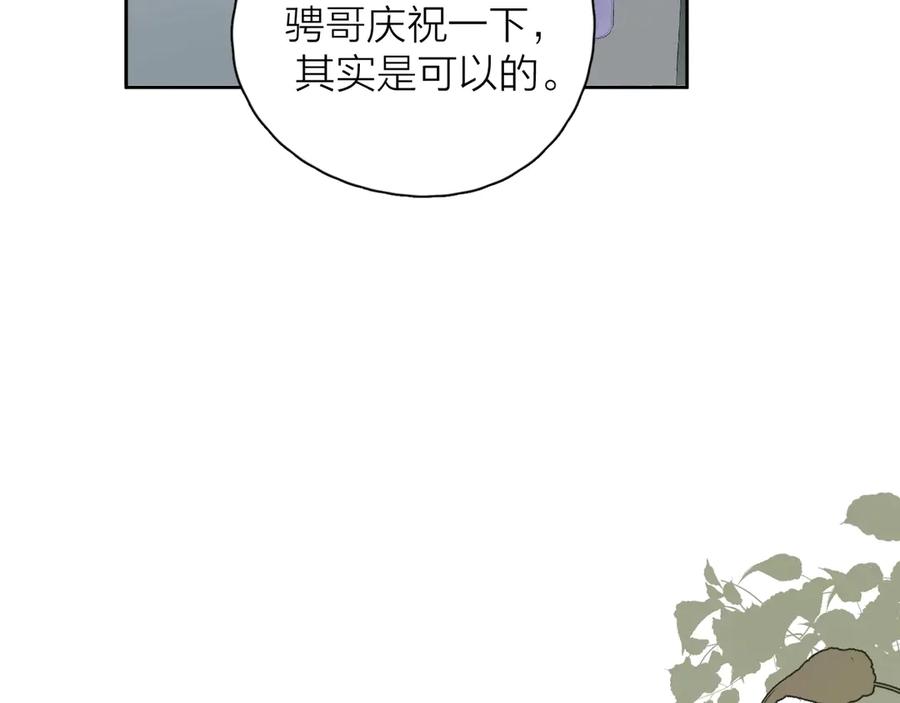 96.jpg