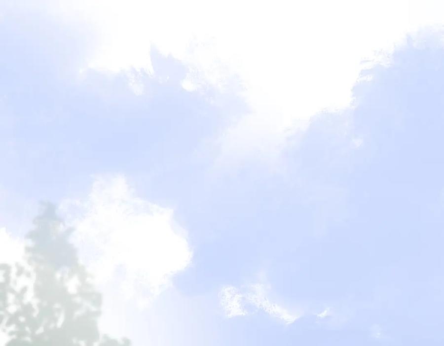 98.jpg