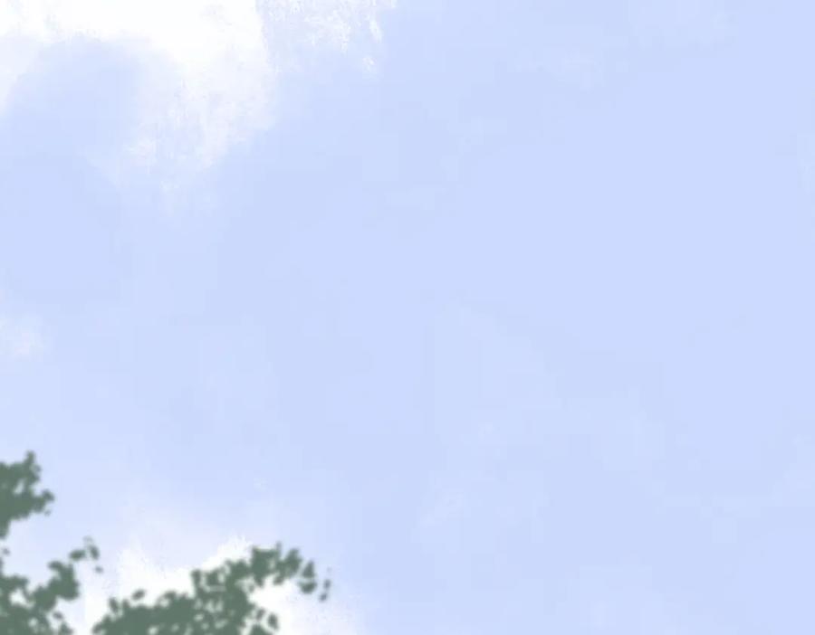 75.jpg