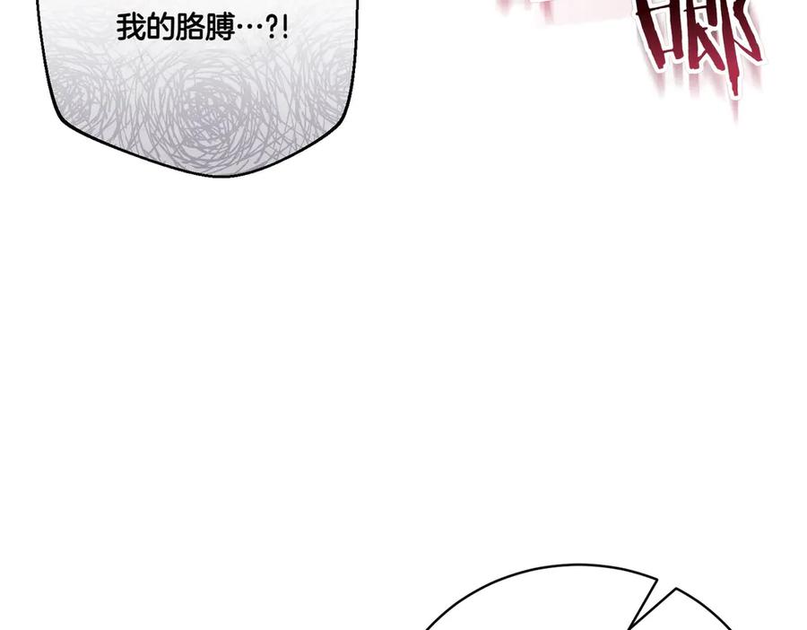 第73话打错算盘-爱情这东西我才不在乎-Shanon+ AO+ Liber Anima（第1张）