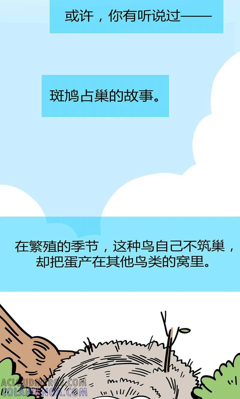 第1话-爱上斑鸠王子-咪咕数媒（第2张）
