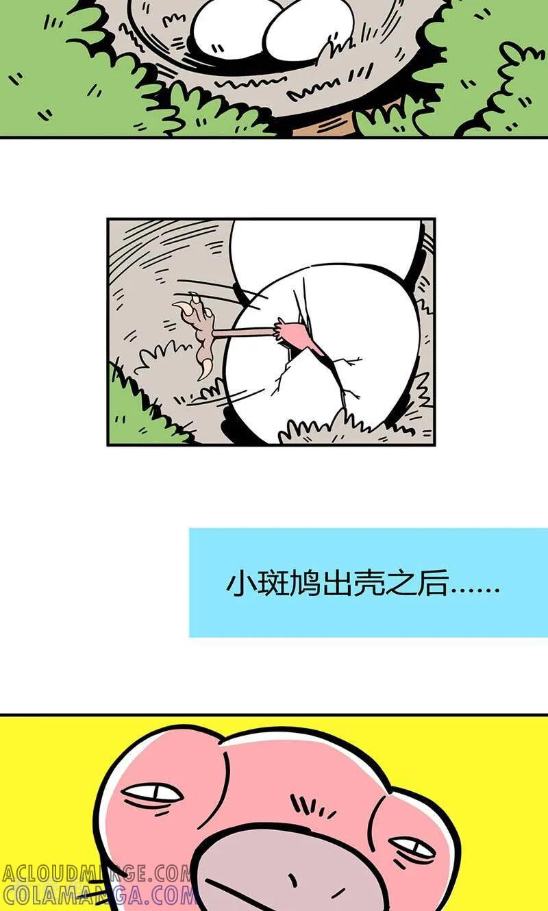 第1话-爱上斑鸠王子-咪咕数媒（第3张）