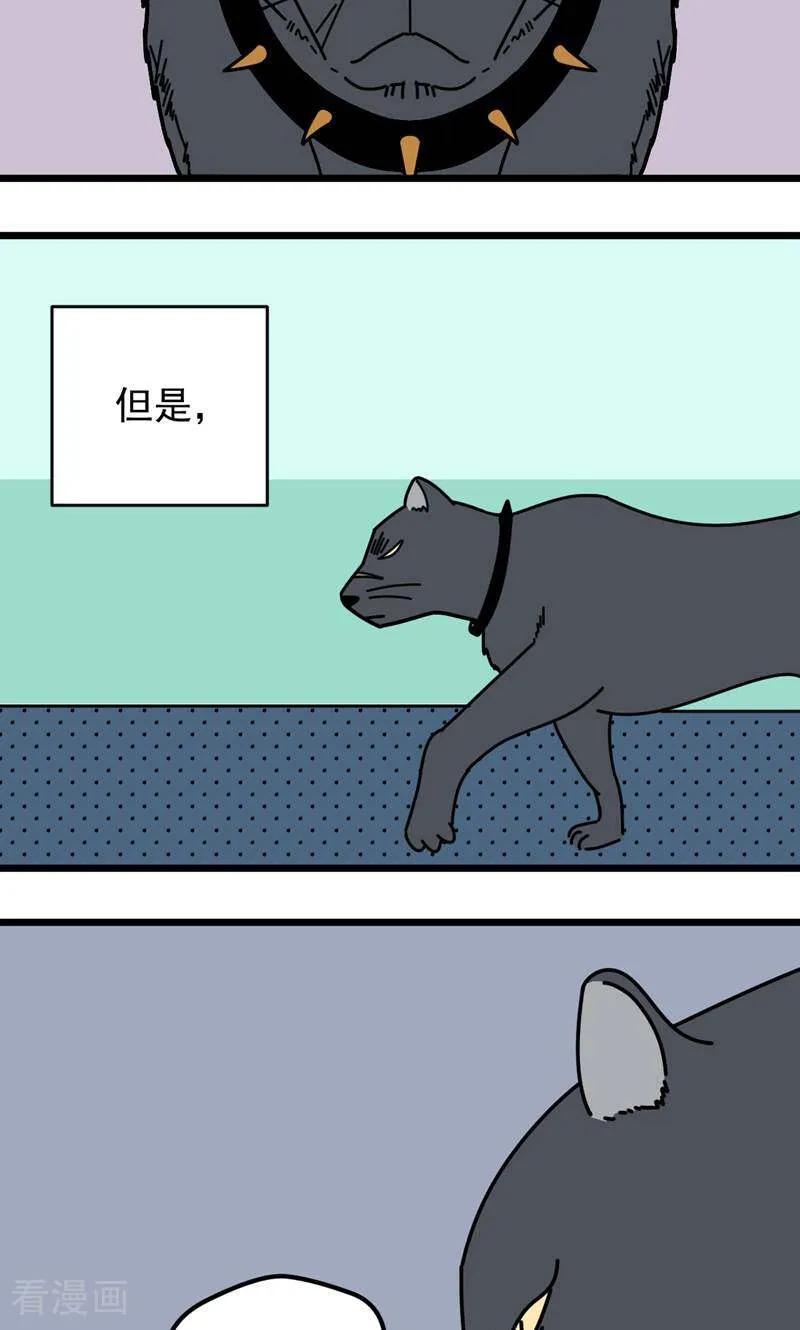 第10话-硬核动物园-咪咕数媒（第4张）