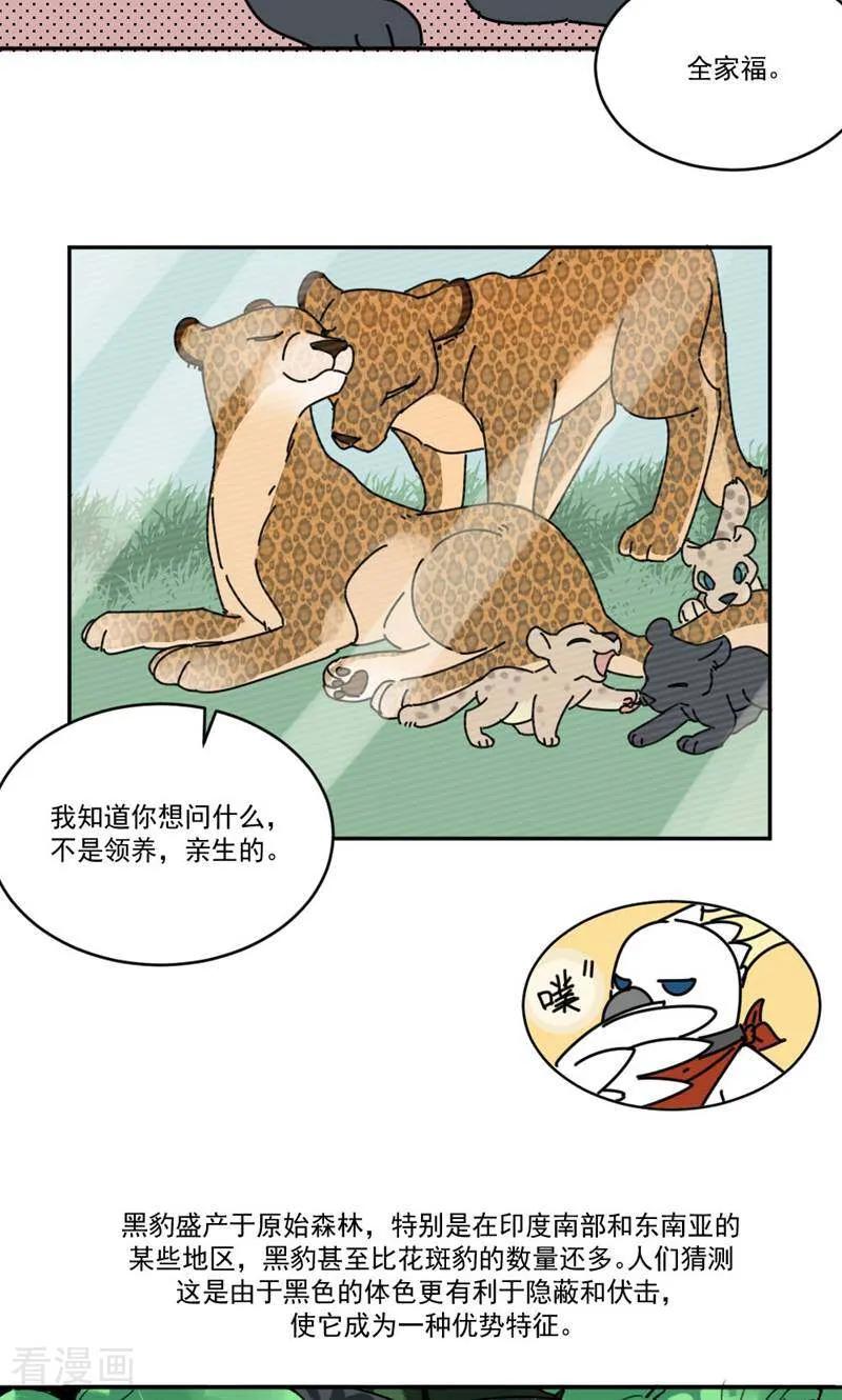 第10话-硬核动物园-咪咕数媒（第32张）