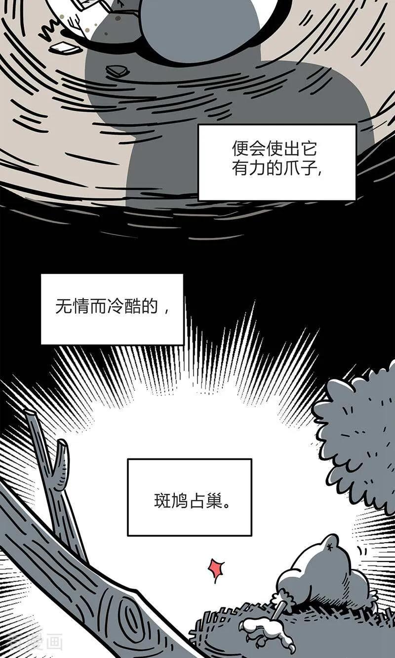 第2话-爱上斑鸠王子-咪咕数媒（第9张）