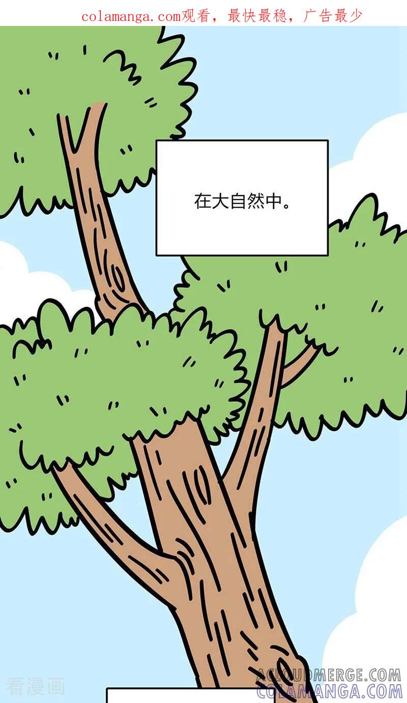 第2话-爱上斑鸠王子-咪咕数媒（第1张）