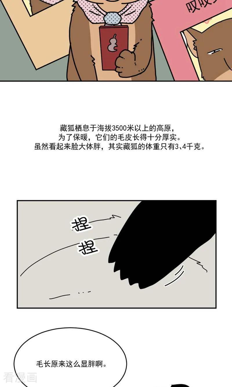 第9话-硬核动物园-咪咕数媒（第32张）