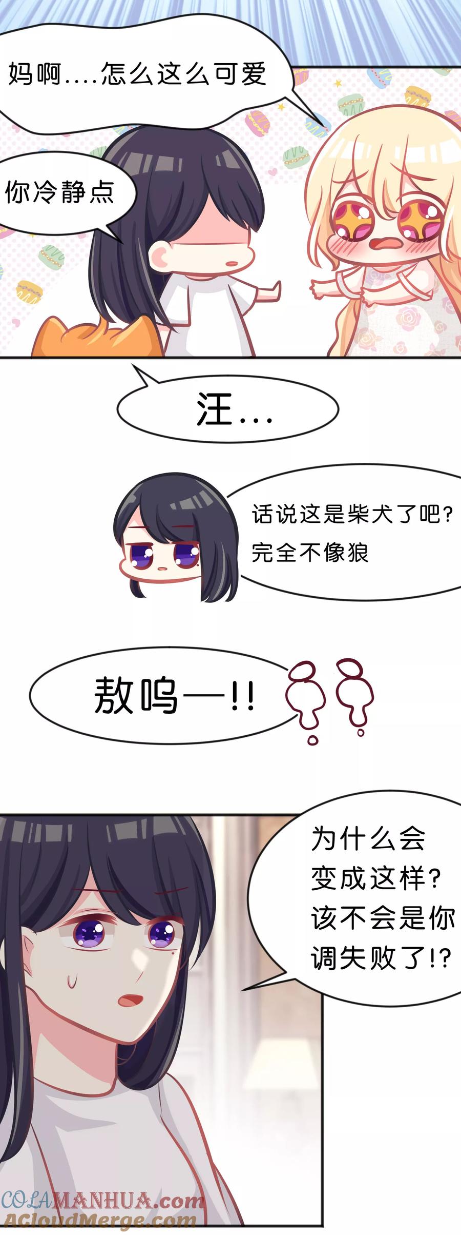 第65话为了你，就算死也值得-梦魇总裁的专属甜点-宇宙半公室（第11张）