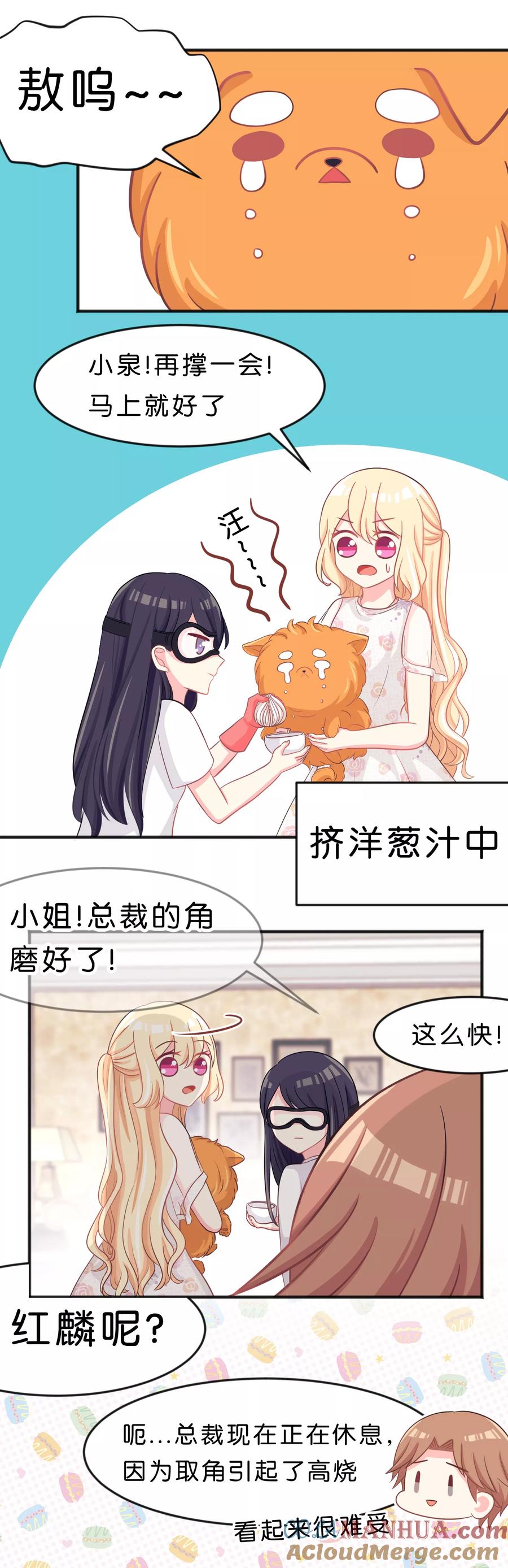 第66话我喜欢你-梦魇总裁的专属甜点-宇宙半公室（第3张）