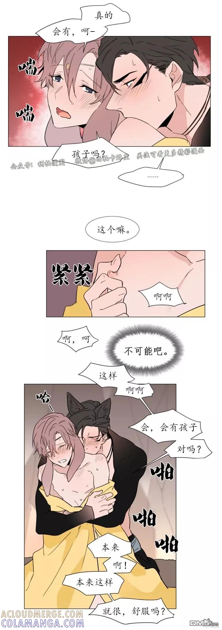 19.jpg