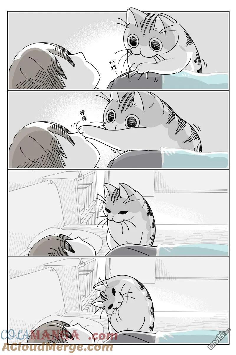 第224话-关于养猫我一直是新手-キュルZ（第1张）
