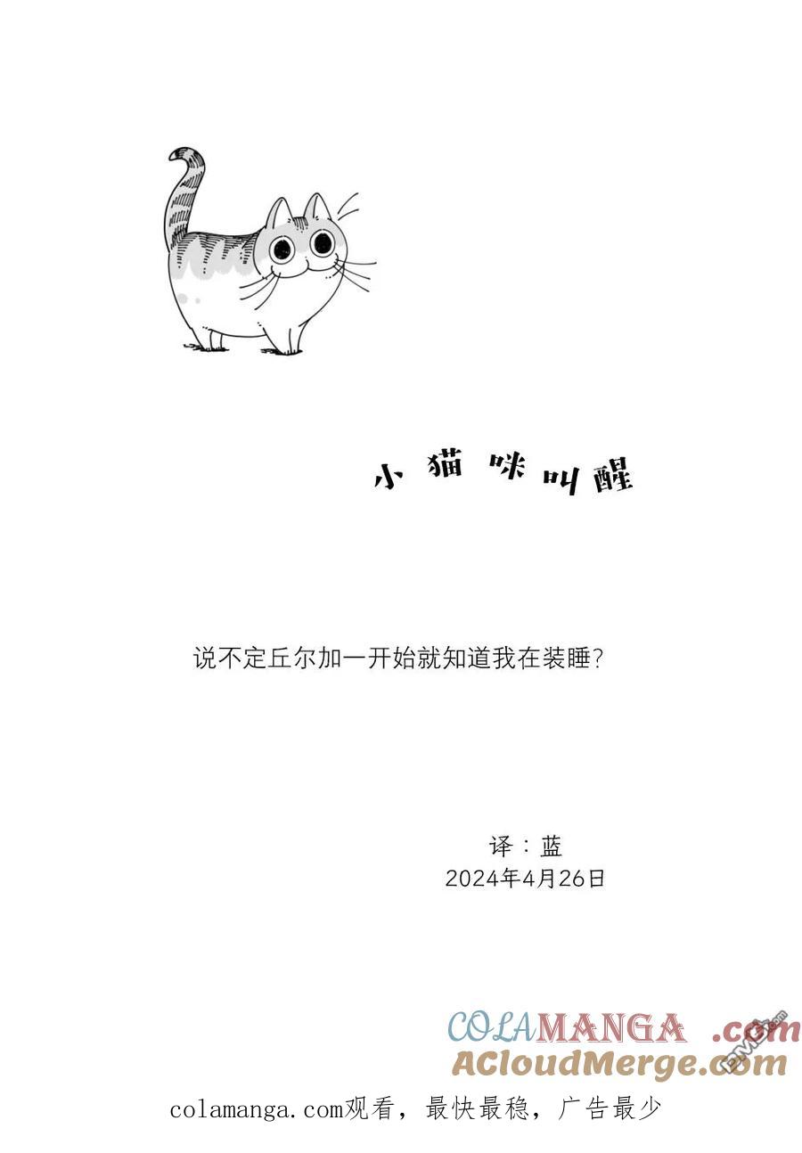 第224话-关于养猫我一直是新手-キュルZ（第3张）