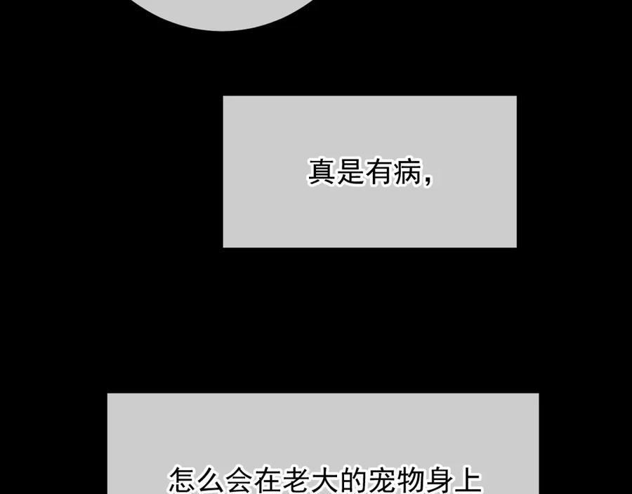 94.jpg