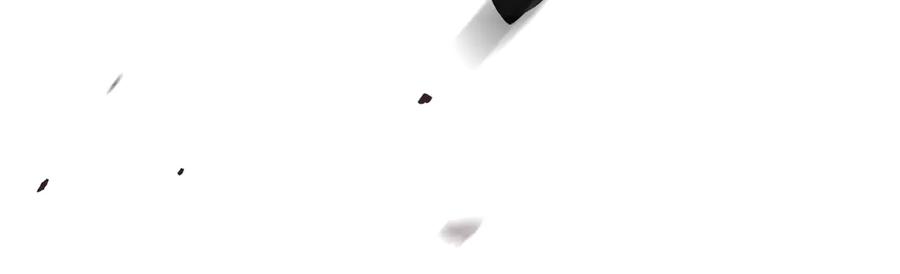 146.jpg