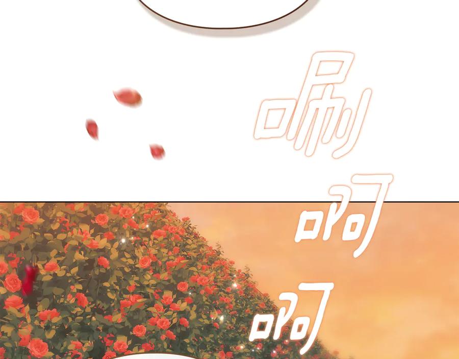 128.jpg