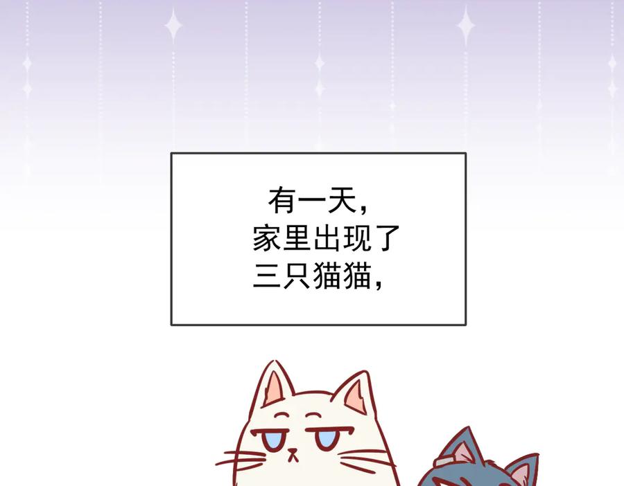 Q版小剧场这是我家的猫猫-爱与杀意之夜-希尼_谢莫尔（第2张）