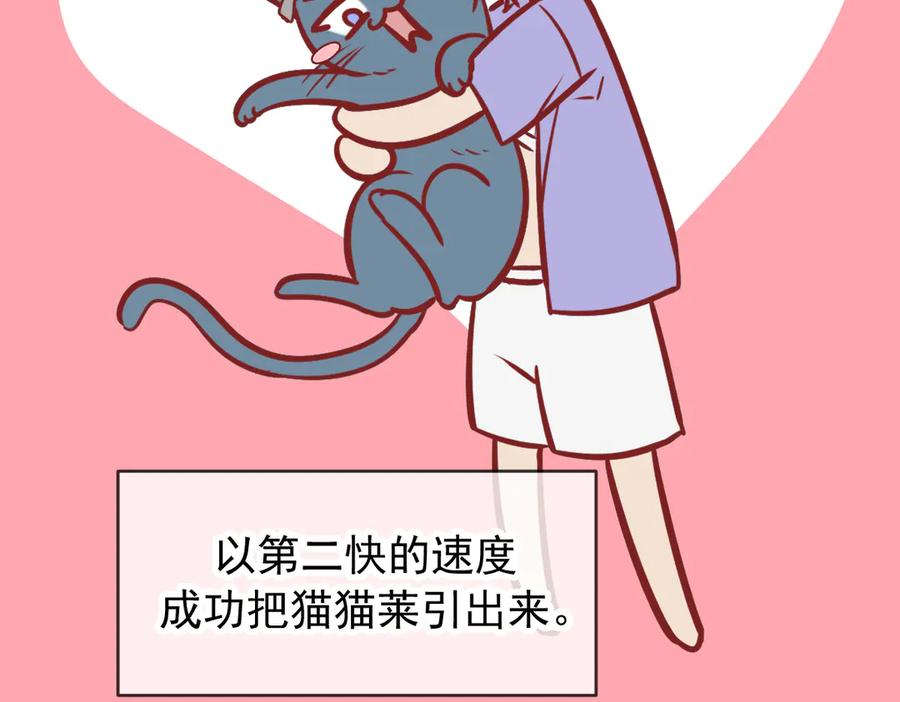 Q版小剧场这是我家的猫猫-爱与杀意之夜-希尼_谢莫尔（第16张）