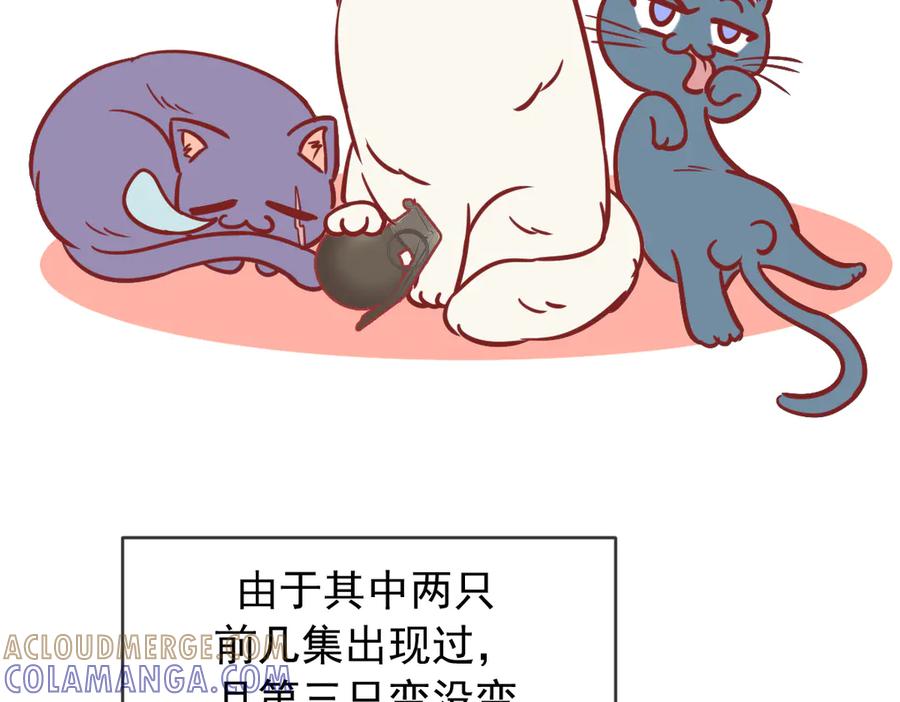 Q版小剧场这是我家的猫猫-爱与杀意之夜-希尼_谢莫尔（第3张）
