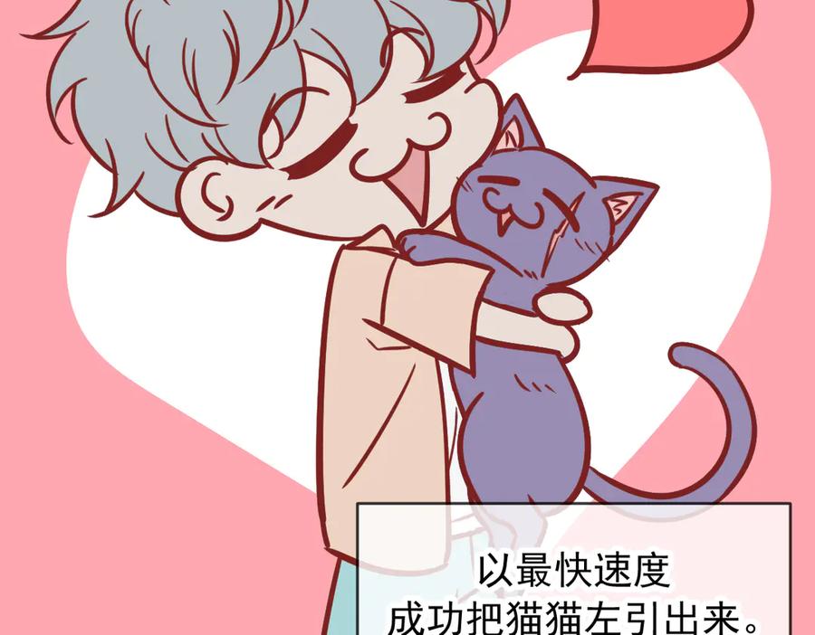 Q版小剧场这是我家的猫猫-爱与杀意之夜-希尼_谢莫尔（第12张）