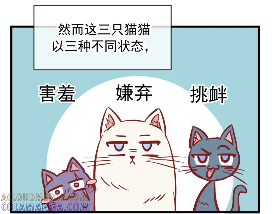 Q版小剧场这是我家的猫猫-爱与杀意之夜-希尼_谢莫尔（第7张）
