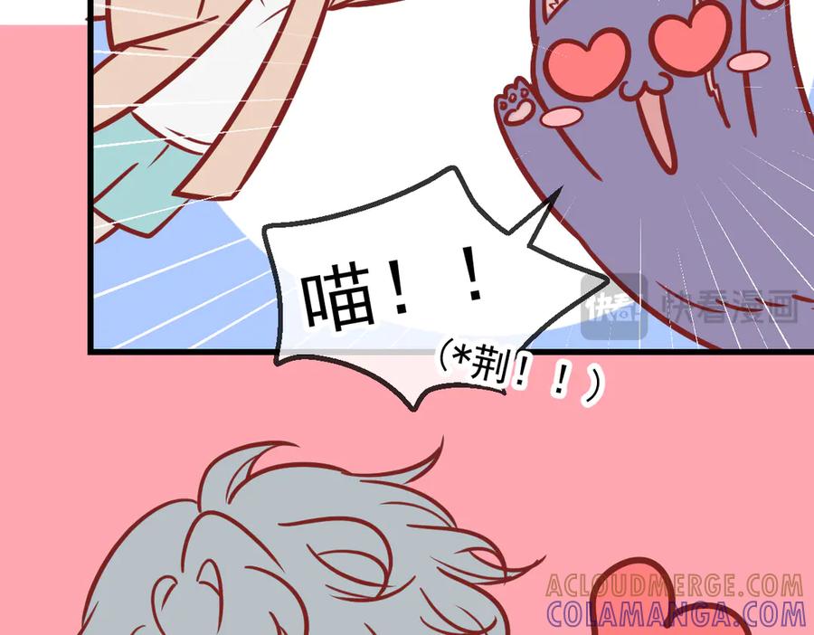 Q版小剧场这是我家的猫猫-爱与杀意之夜-希尼_谢莫尔（第11张）