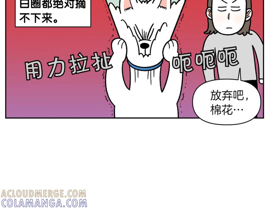 第44话治疗眼病(3)-我的狗子叫棉花-milo+Polarfox（第6张）