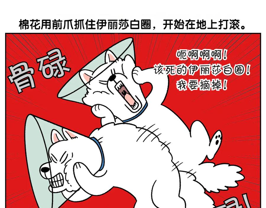 第44话治疗眼病(3)-我的狗子叫棉花-milo+Polarfox（第4张）