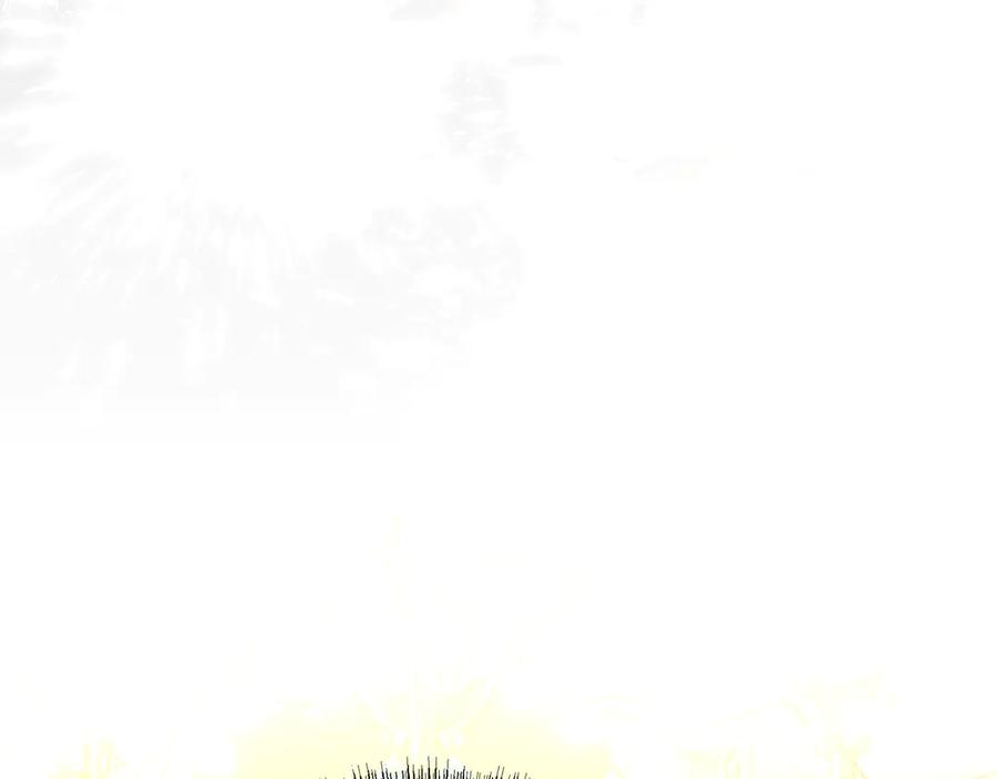 86.jpg