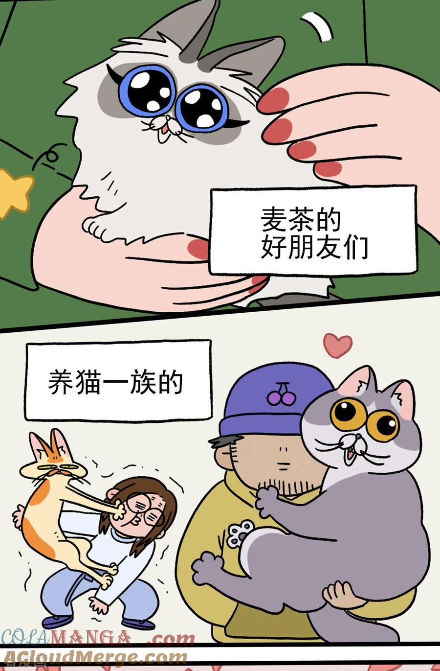预告-阿满和麦茶-新漫画 日胖大海寺（第7张）