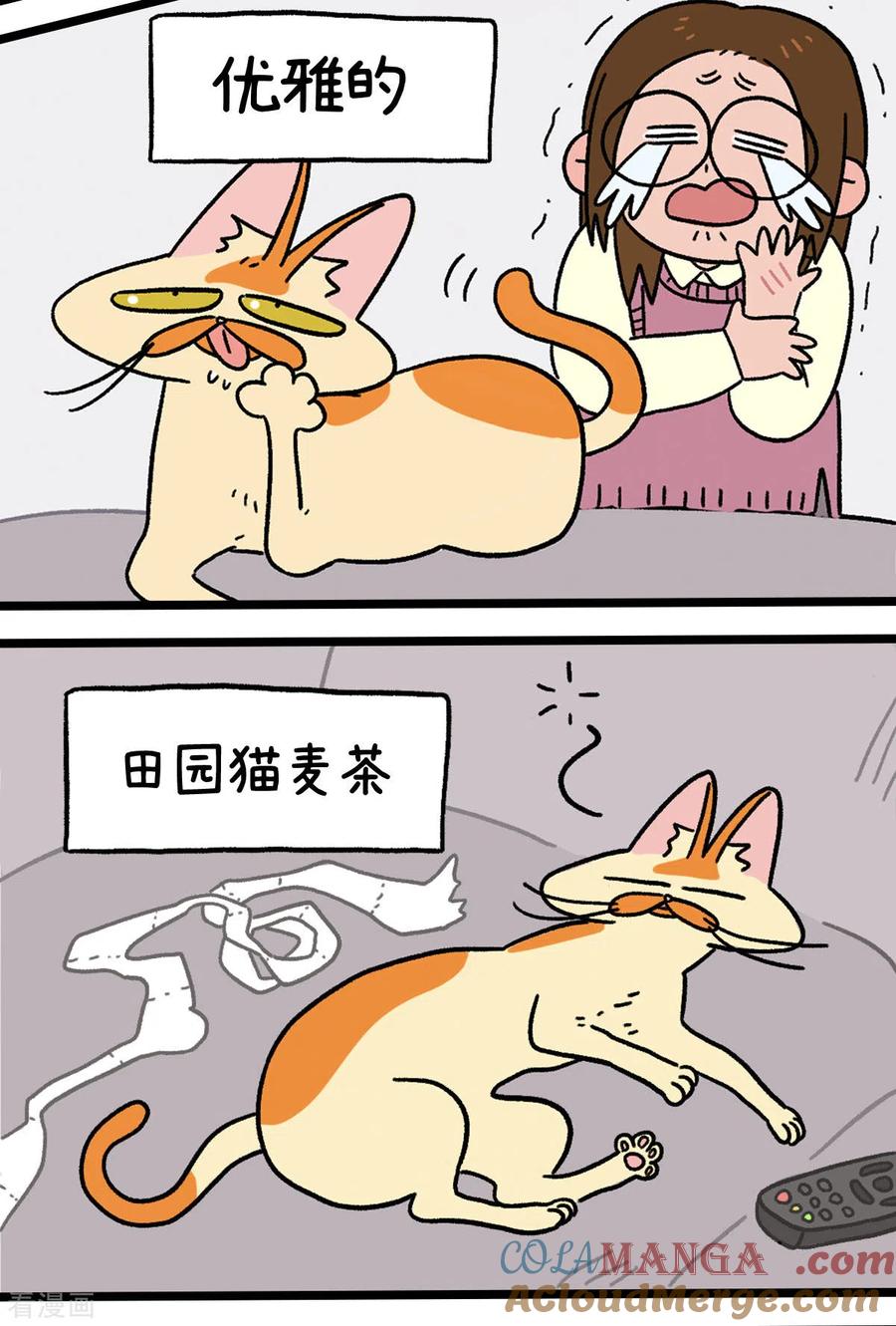 预告-阿满和麦茶-新漫画 日胖大海寺（第2张）