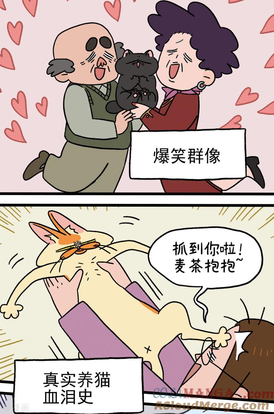 预告-阿满和麦茶-新漫画 日胖大海寺（第8张）