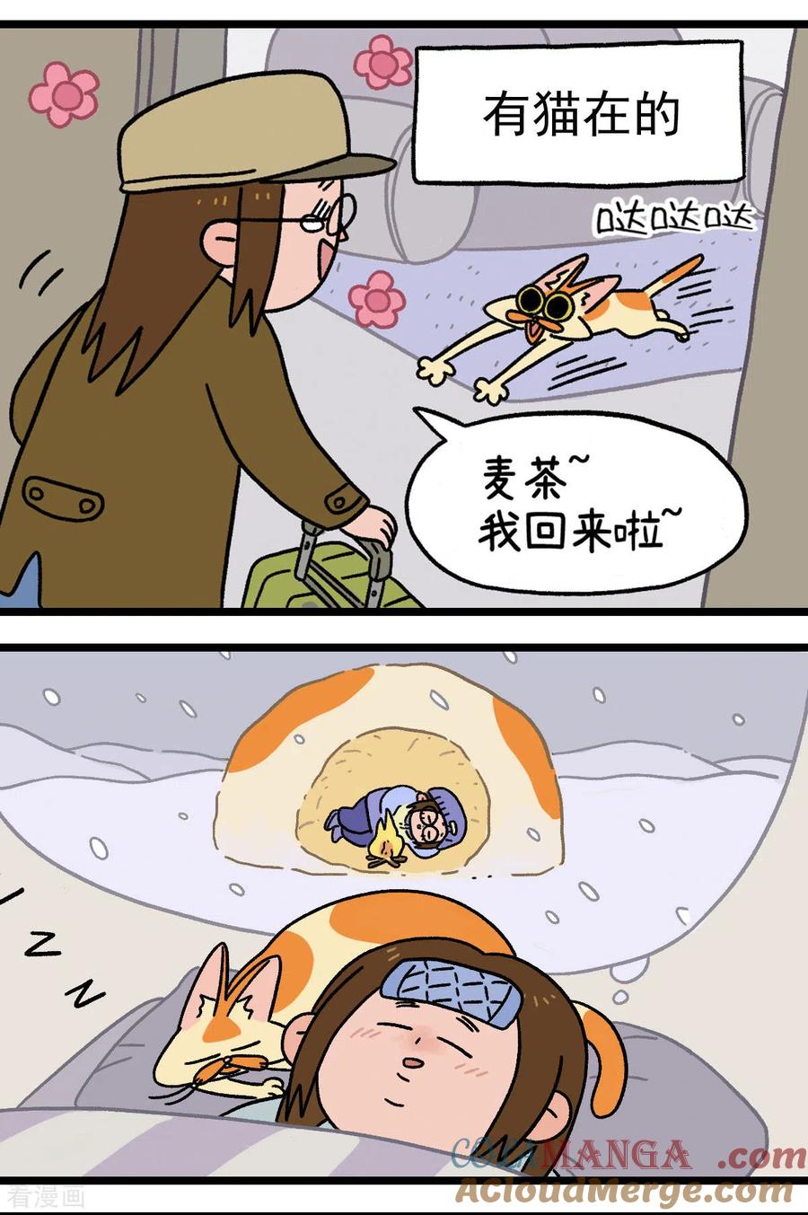 预告-阿满和麦茶-新漫画 日胖大海寺（第10张）