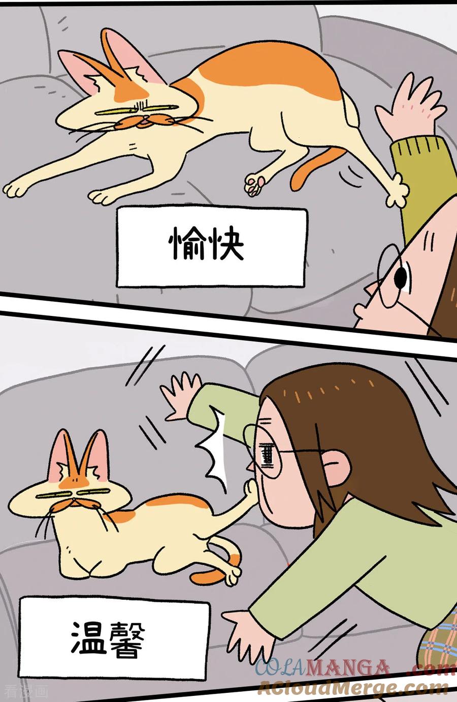 预告-阿满和麦茶-新漫画 日胖大海寺（第3张）