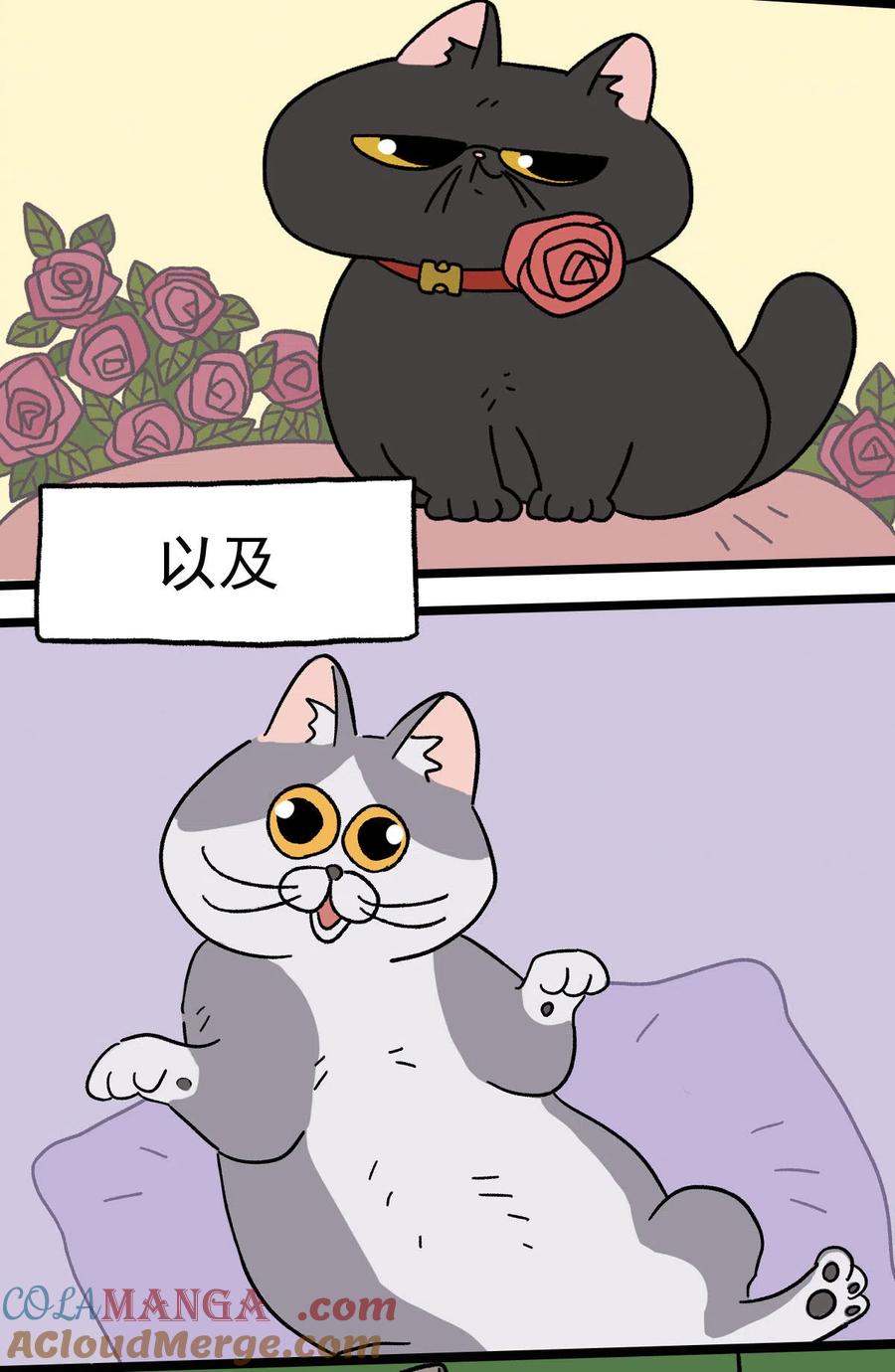 预告-阿满和麦茶-新漫画 日胖大海寺（第6张）