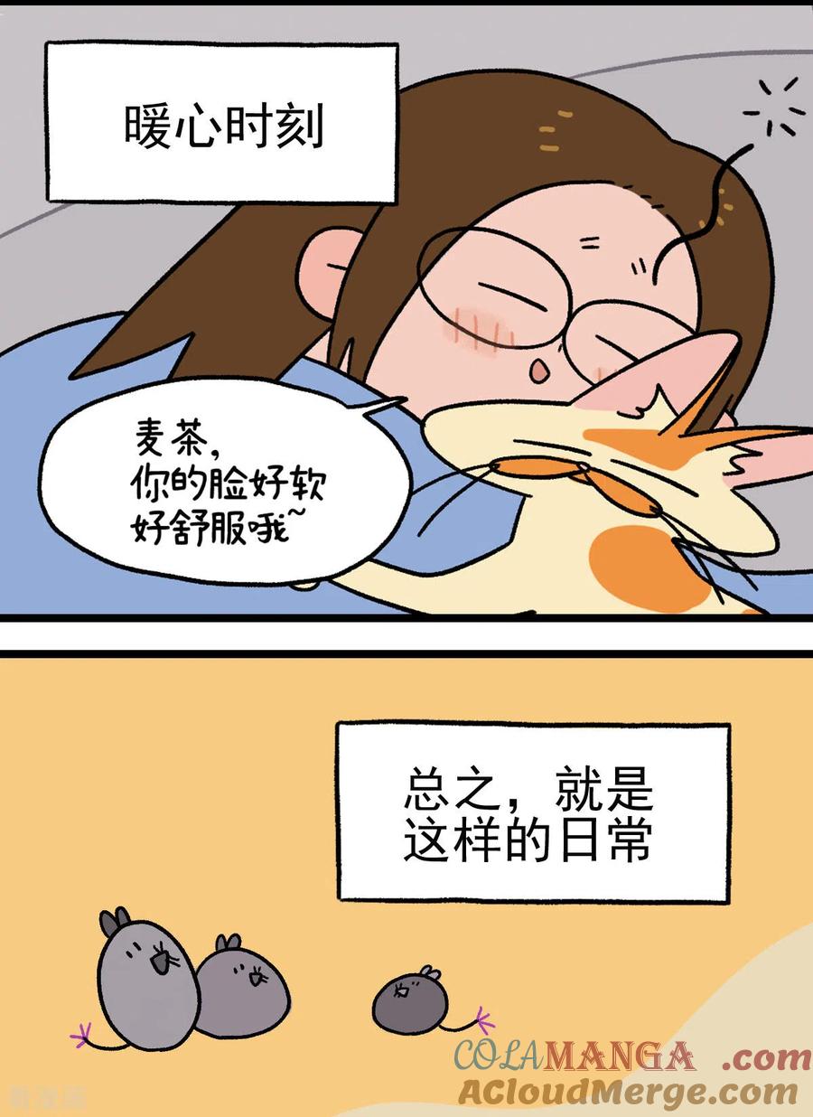 预告-阿满和麦茶-新漫画 日胖大海寺（第11张）